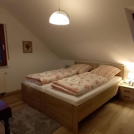 Appartement Ferienwohnnung Ruth - Familienurlaub Im Erzgebirge à Langenbach  Extérieur photo